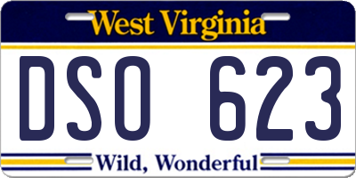 WV license plate DSO623