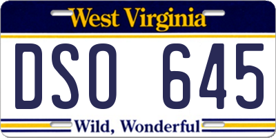 WV license plate DSO645