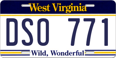 WV license plate DSO771