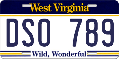 WV license plate DSO789
