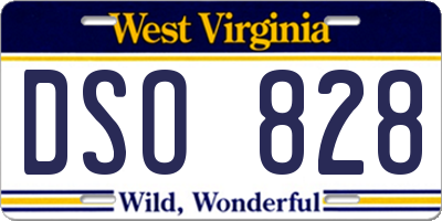 WV license plate DSO828