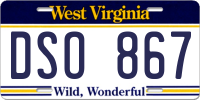 WV license plate DSO867