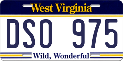 WV license plate DSO975