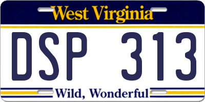 WV license plate DSP313