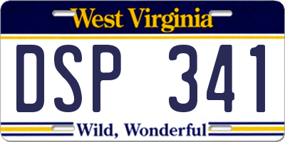 WV license plate DSP341