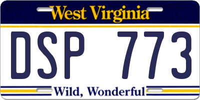 WV license plate DSP773