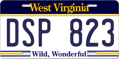 WV license plate DSP823