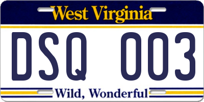 WV license plate DSQ003