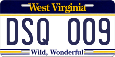 WV license plate DSQ009