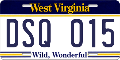 WV license plate DSQ015