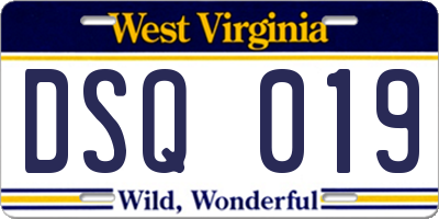 WV license plate DSQ019