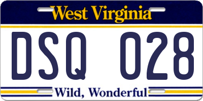 WV license plate DSQ028