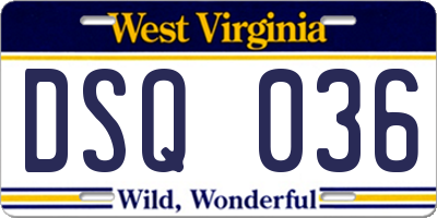 WV license plate DSQ036