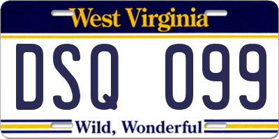 WV license plate DSQ099