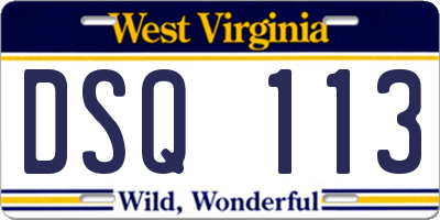 WV license plate DSQ113