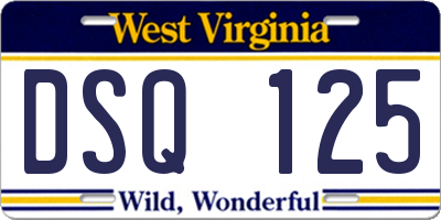 WV license plate DSQ125