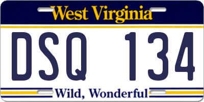 WV license plate DSQ134