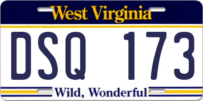WV license plate DSQ173