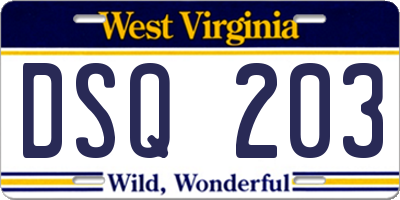 WV license plate DSQ203