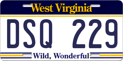 WV license plate DSQ229