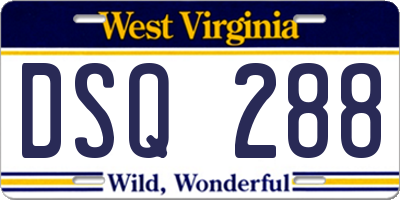 WV license plate DSQ288