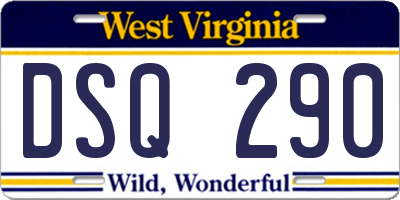 WV license plate DSQ290