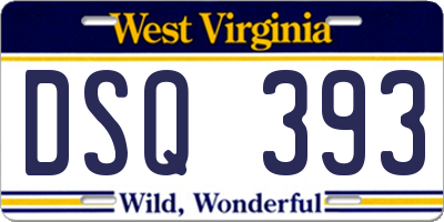 WV license plate DSQ393