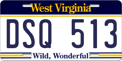 WV license plate DSQ513