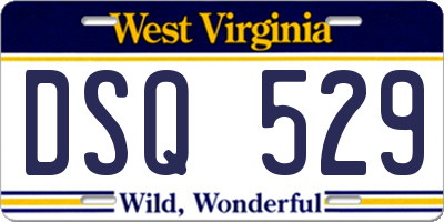 WV license plate DSQ529