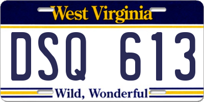 WV license plate DSQ613