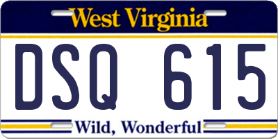 WV license plate DSQ615