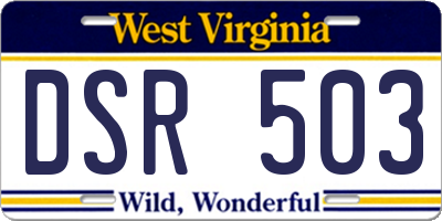 WV license plate DSR503