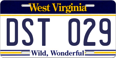 WV license plate DST029