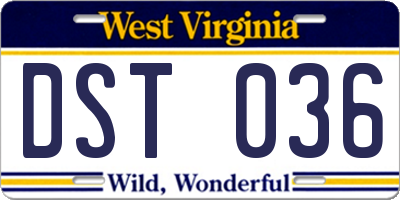 WV license plate DST036