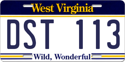 WV license plate DST113