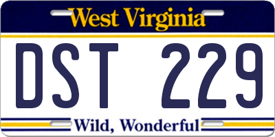 WV license plate DST229