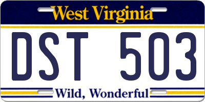 WV license plate DST503