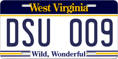 WV license plate DSU009