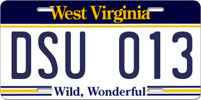 WV license plate DSU013
