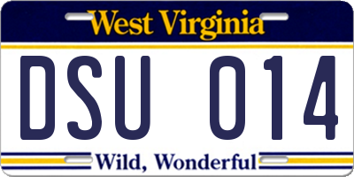 WV license plate DSU014