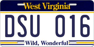 WV license plate DSU016