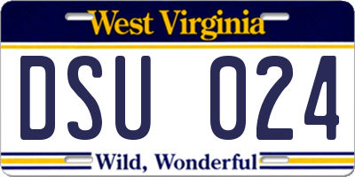 WV license plate DSU024