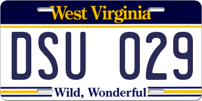 WV license plate DSU029