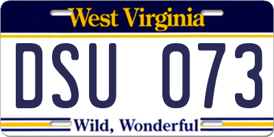 WV license plate DSU073