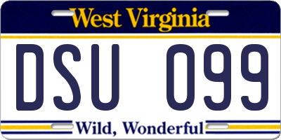 WV license plate DSU099