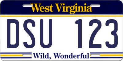 WV license plate DSU123