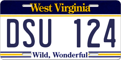 WV license plate DSU124