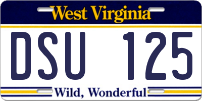 WV license plate DSU125