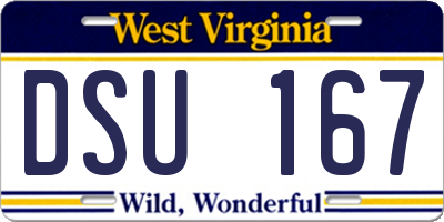WV license plate DSU167