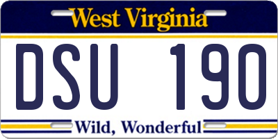 WV license plate DSU190